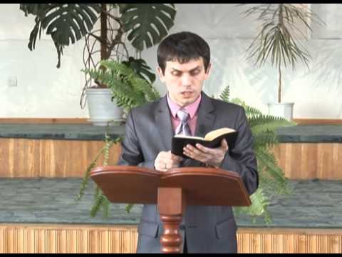Превью: Созданные не случайно "Осознанная жизнь"
