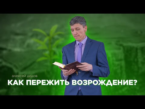 Превью: Как пережить возрождение?