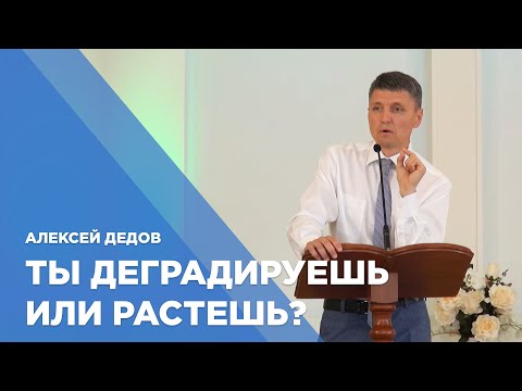 Превью: Ты деградируешь или растешь?